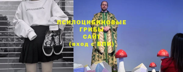 метадон Зеленодольск