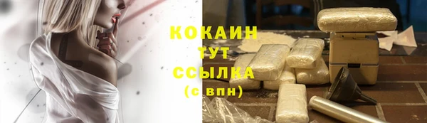 трава Зеленокумск