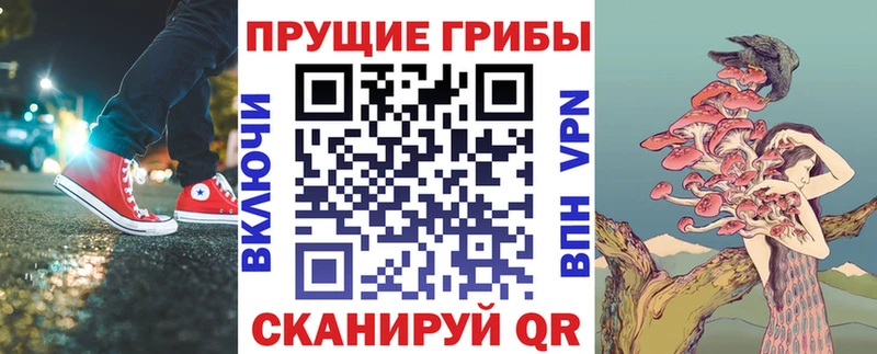 Псилоцибиновые грибы Psilocybe  MEGA рабочий сайт  Канаш  сколько стоит 
