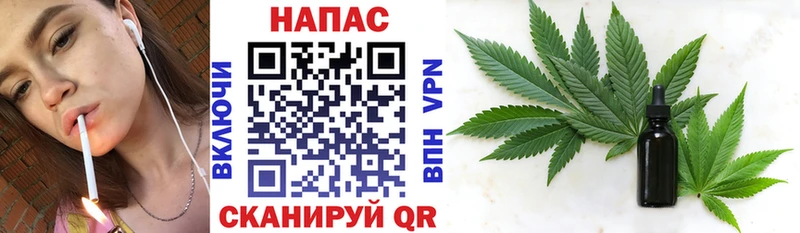 Каннабис сатива  Канаш 